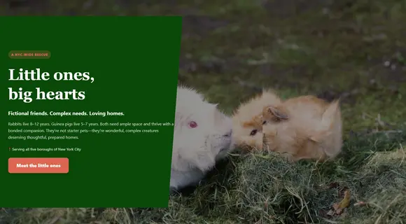 Small animal rescue website