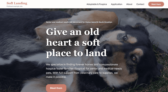 Senior pet rescue website