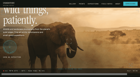 Nature & wildlife photographer portfolio homepage