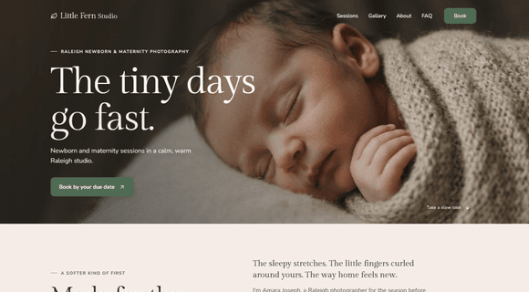 Newborn photography website template homepage
