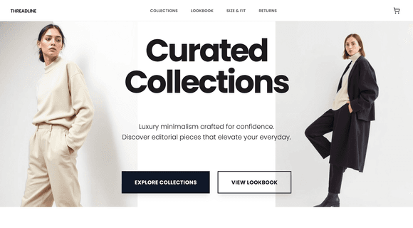Dropshipping website template 