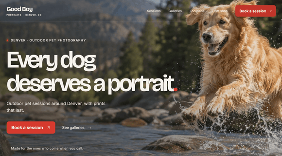 Pet photography website template homepage